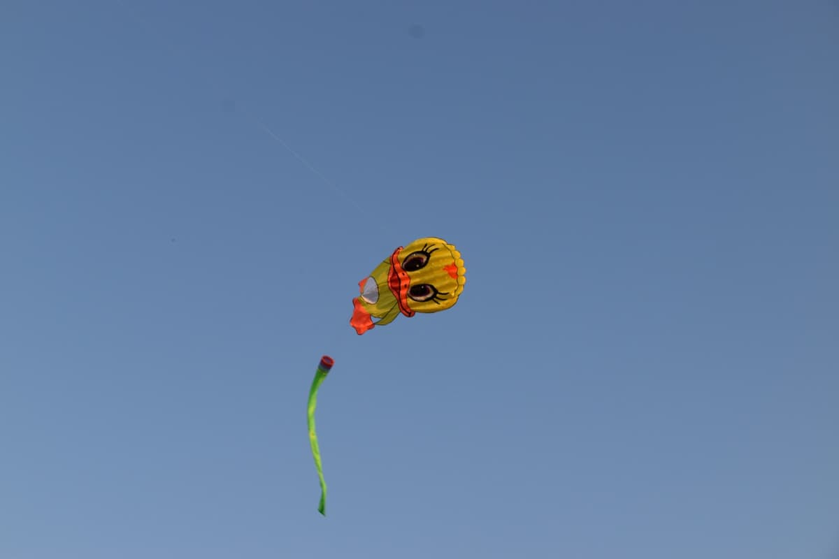 המצפן — פרויקטים בחינוך 7